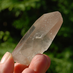 Record Keeper Smoky Lemurian Seed Quartz Crystal Starbrary