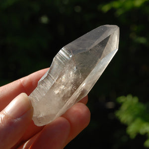 Record Keeper Smoky Lemurian Seed Quartz Crystal Starbrary