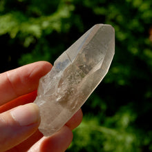 Load image into Gallery viewer, Record Keeper Smoky Lemurian Seed Quartz Crystal Starbrary
