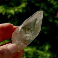 Load image into Gallery viewer, Record Keeper Smoky Lemurian Seed Quartz Crystal Starbrary
