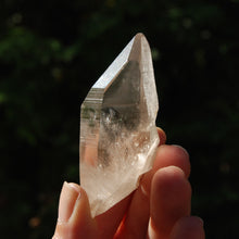 Load image into Gallery viewer, Record Keeper Smoky Lemurian Seed Quartz Crystal Starbrary
