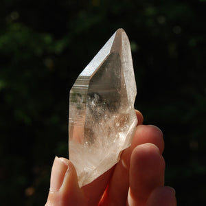 Record Keeper Smoky Lemurian Seed Quartz Crystal Starbrary