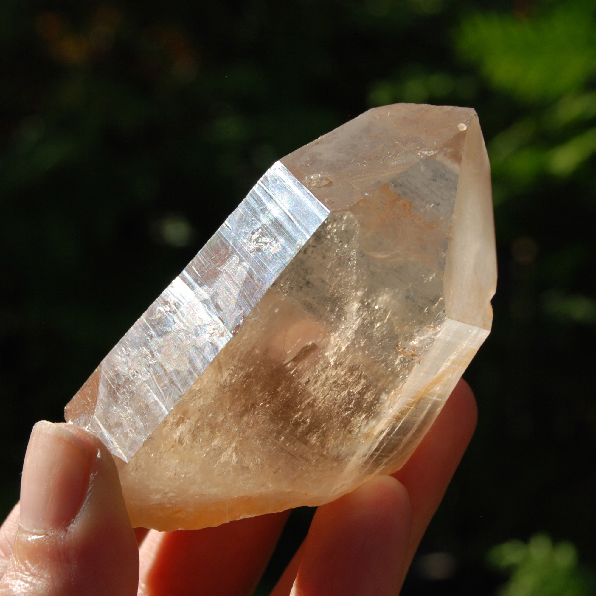 Pink Shadow Lemurian Quartz - Rare Healing Crystal – Caspar Curiosities