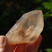 Load image into Gallery viewer, Record Keeper Transmitter Pink Shadow Smoky Lemurian Seed Quartz Crystal Starbrary
