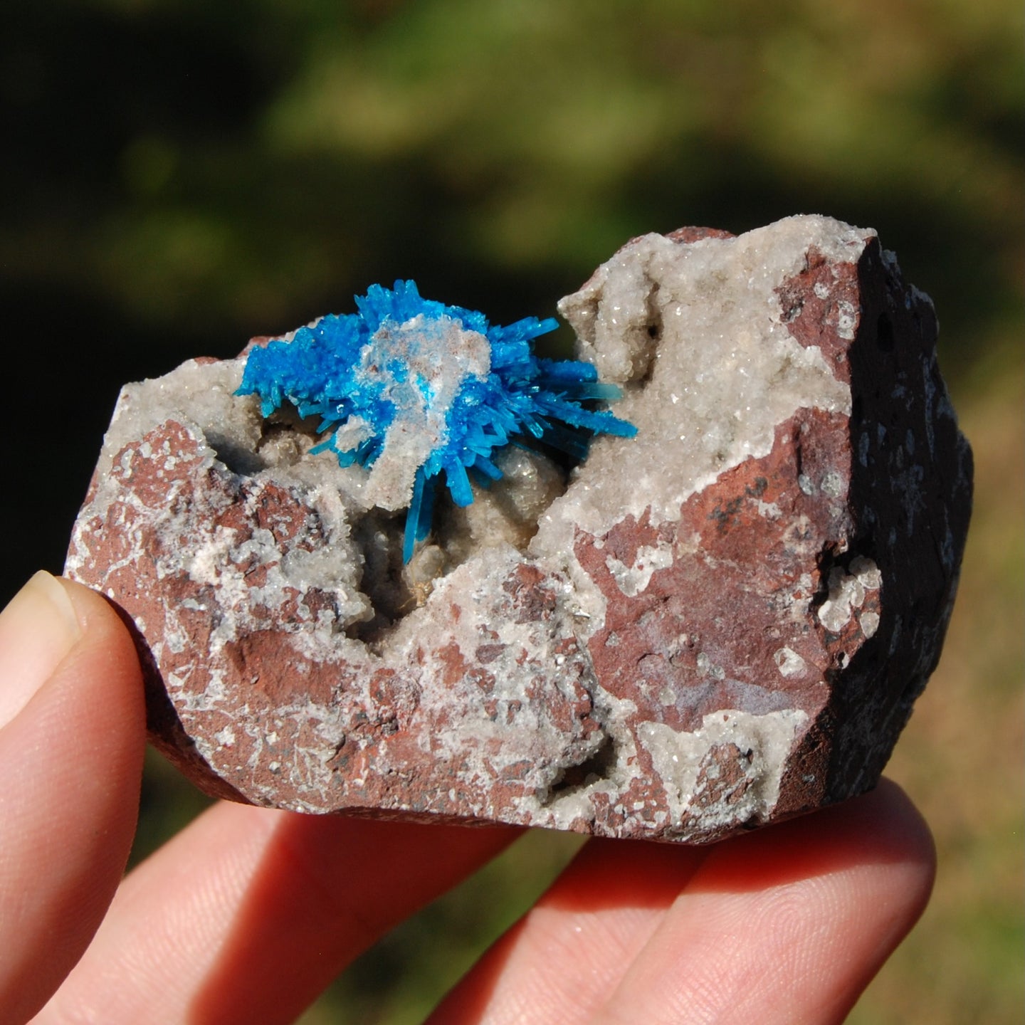 Cavansite Crystal Cluster