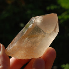 Load image into Gallery viewer, Record Keeper Transmitter Pink Shadow Smoky Lemurian Seed Quartz Crystal Starbrary
