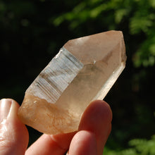 Load image into Gallery viewer, Record Keeper Transmitter Pink Shadow Smoky Lemurian Seed Quartz Crystal Starbrary
