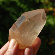 Load image into Gallery viewer, Record Keeper Transmitter Pink Shadow Smoky Lemurian Seed Quartz Crystal Starbrary
