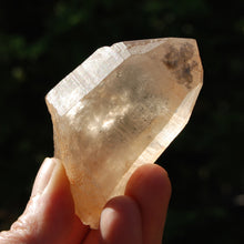 Load image into Gallery viewer, Record Keeper Transmitter Pink Shadow Smoky Lemurian Seed Quartz Crystal Starbrary
