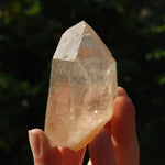 Record Keeper Transmitter Pink Shadow Smoky Lemurian Seed Quartz Crystal Starbrary