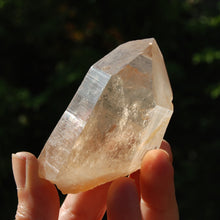 Load image into Gallery viewer, Record Keeper Transmitter Pink Shadow Smoky Lemurian Seed Quartz Crystal Starbrary
