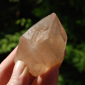 Pink Shadow Smoky Lemurian Seed Quartz Crystal Starbrary