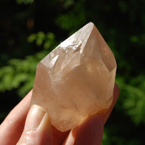 Pink Shadow Smoky Lemurian Seed Quartz Crystal Starbrary