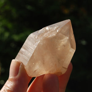 Pink Shadow Smoky Lemurian Seed Quartz Crystal Starbrary