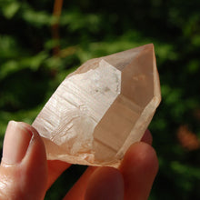 Load image into Gallery viewer, Pink Shadow Smoky Lemurian Seed Quartz Crystal Starbrary
