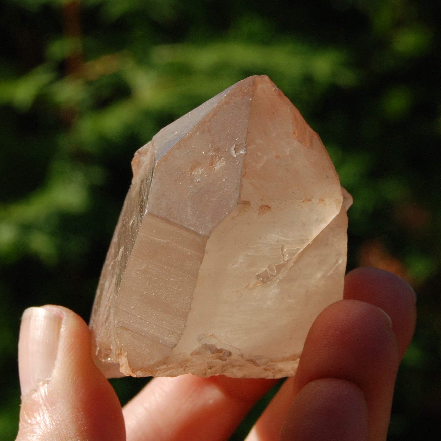 Pink Shadow Smoky Lemurian Seed Quartz Crystal Starbrary