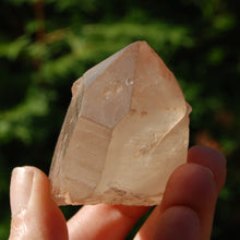 Load image into Gallery viewer, Pink Shadow Smoky Lemurian Seed Quartz Crystal Starbrary
