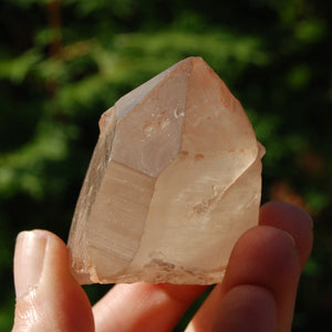 Pink Shadow Smoky Lemurian Seed Quartz Crystal Starbrary