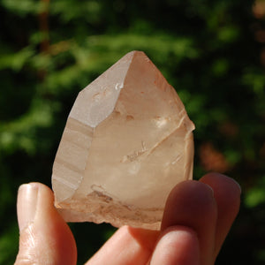 Pink Shadow Smoky Lemurian Seed Quartz Crystal Starbrary