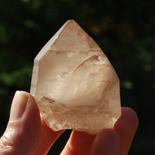 Load image into Gallery viewer, Pink Shadow Smoky Lemurian Seed Quartz Crystal Starbrary
