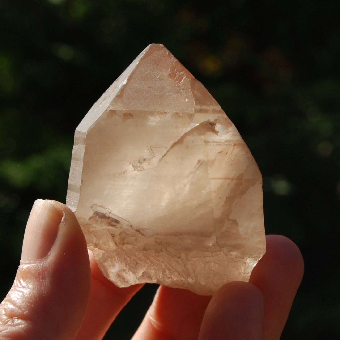 Pink Shadow Smoky Lemurian Seed Quartz Crystal Starbrary