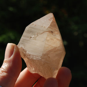 Pink Shadow Smoky Lemurian Seed Quartz Crystal Starbrary