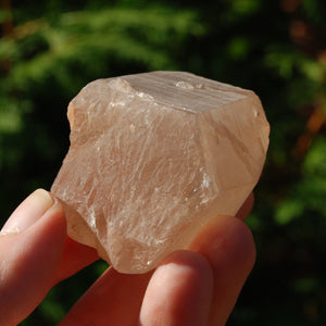 Pink Shadow Smoky Lemurian Seed Quartz Crystal Starbrary