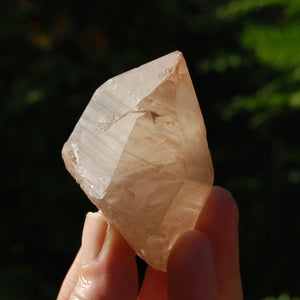 Pink Shadow Smoky Lemurian Seed Quartz Crystal Starbrary