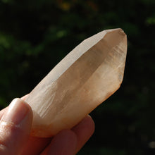 Load image into Gallery viewer, Pink Shadow Smoky Lemurian Seed Quartz Crystal Empathic Warrior
