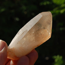 Load image into Gallery viewer, Pink Shadow Smoky Lemurian Seed Quartz Crystal Empathic Warrior
