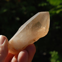 Load image into Gallery viewer, Pink Shadow Smoky Lemurian Seed Quartz Crystal Empathic Warrior
