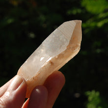 Load image into Gallery viewer, Pink Shadow Smoky Lemurian Seed Quartz Crystal Empathic Warrior
