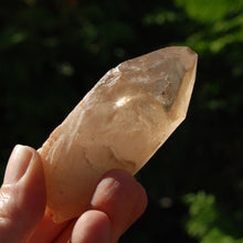 Load image into Gallery viewer, Pink Shadow Smoky Lemurian Seed Quartz Crystal Empathic Warrior
