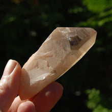 Load image into Gallery viewer, Pink Shadow Smoky Lemurian Seed Quartz Crystal Empathic Warrior
