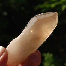 Load image into Gallery viewer, Pink Shadow Smoky Lemurian Seed Quartz Crystal Empathic Warrior
