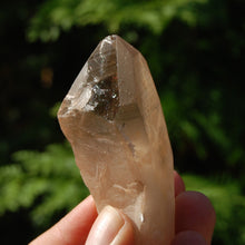 Load image into Gallery viewer, Pink Shadow Smoky Lemurian Seed Quartz Crystal Empathic Warrior
