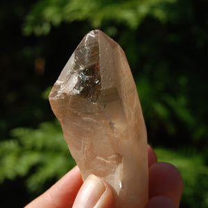 Pink Shadow Smoky Lemurian Seed Quartz Crystal Empathic Warrior