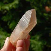 Load image into Gallery viewer, Pink Shadow Smoky Lemurian Seed Quartz Crystal Empathic Warrior
