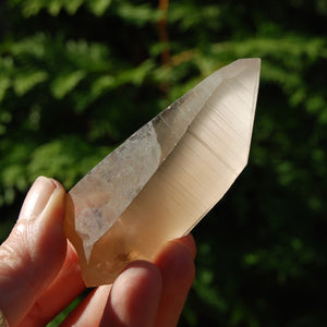 Pink Shadow Smoky Lemurian Seed Quartz Crystal Laser