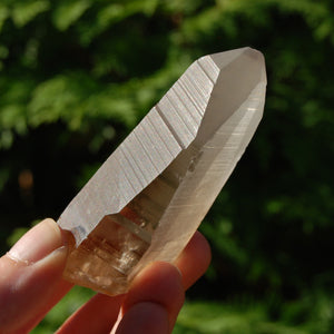 Pink Shadow Smoky Lemurian Seed Quartz Crystal Laser