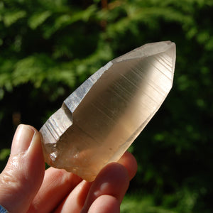 Pink Shadow Smoky Lemurian Seed Quartz Crystal Laser