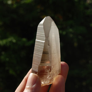 Pink Shadow Smoky Lemurian Seed Quartz Crystal Laser