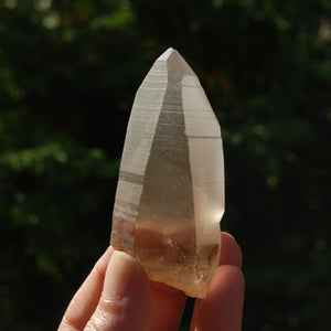 Pink Shadow Smoky Lemurian Seed Quartz Crystal Laser