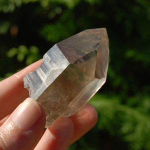 Smoky Lemurian Seed Quartz Crystal, Brazil