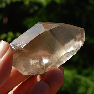 Smoky Lemurian Seed Quartz Crystal, Brazil