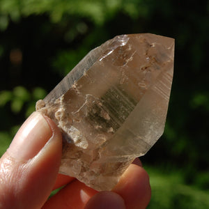 Smoky Lemurian Seed Quartz Crystal, Brazil