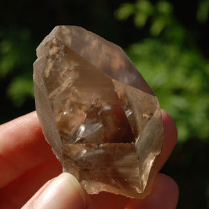 Smoky Lemurian Seed Quartz Crystal, Brazil