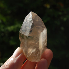 Load image into Gallery viewer, Smoky Lemurian Seed Quartz Crystal, Brazil
