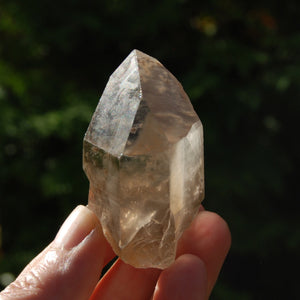 Smoky Lemurian Seed Quartz Crystal, Brazil