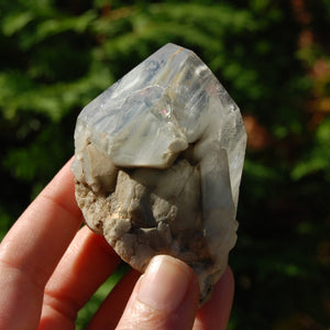 Blue Amphibole Quartz Crystal